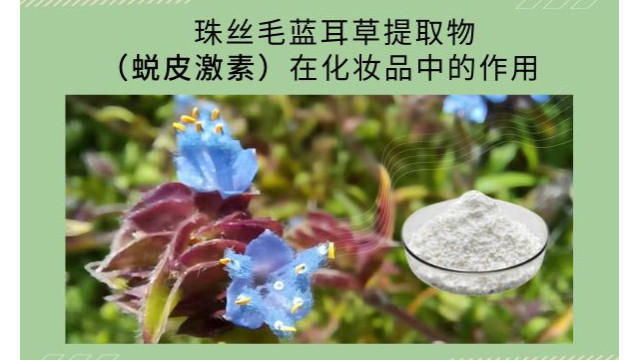 珠丝毛蓝耳草提取物(蜕皮激素)在化妆品中的作用 珠丝毛蓝耳草提取物(蜕皮激素)在化妆品中的作用