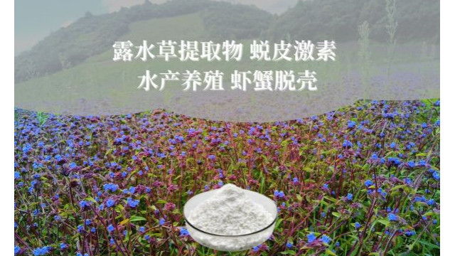 露水草提取物 蜕皮激素 水产养殖 虾蟹脱壳 露水草提取物 蜕皮激素 水产养殖 虾蟹脱壳