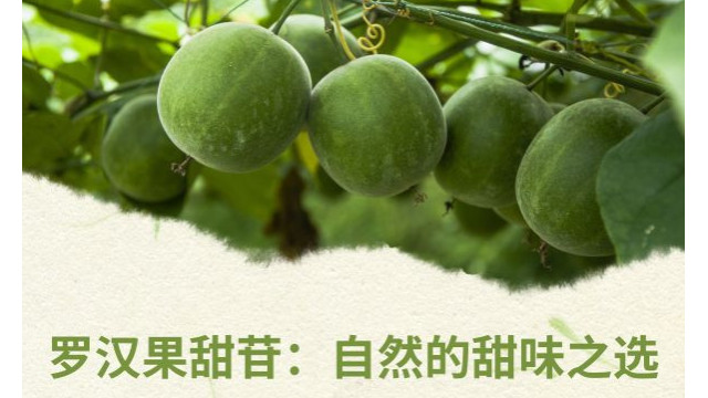 罗汉果甜苷：自然的甜味之选