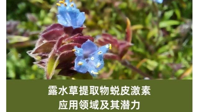 露水草提取物蜕皮激素：应用领域及其潜力