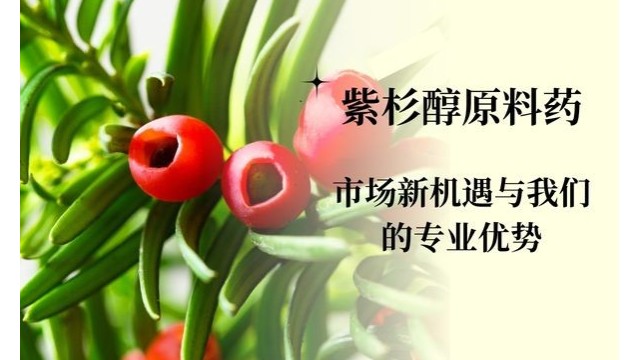 紫杉醇原料药：市场新机遇与hjc888黄金城的专业优势
