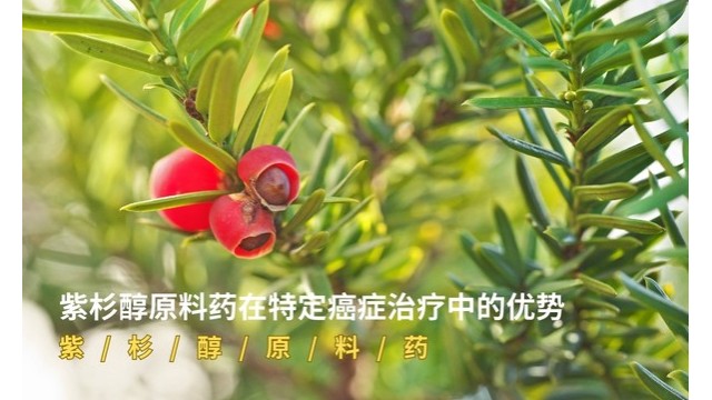 紫杉醇原料药在特定癌症治疗中的优势